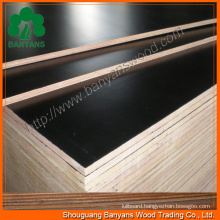 Melamine Paper Faced Plywood, Furniture Plywood